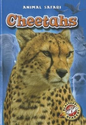 Vorderes Coverbild Cheetahs