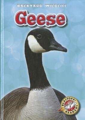 Vorderes Coverbild Geese