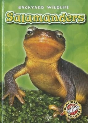 Vorderes Coverbild Salamanders