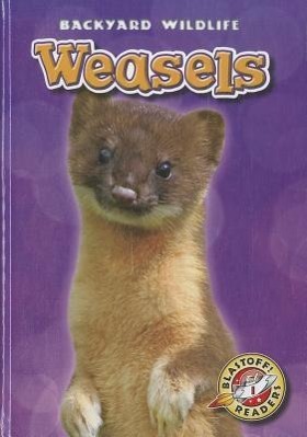 Vorderes Coverbild Weasels