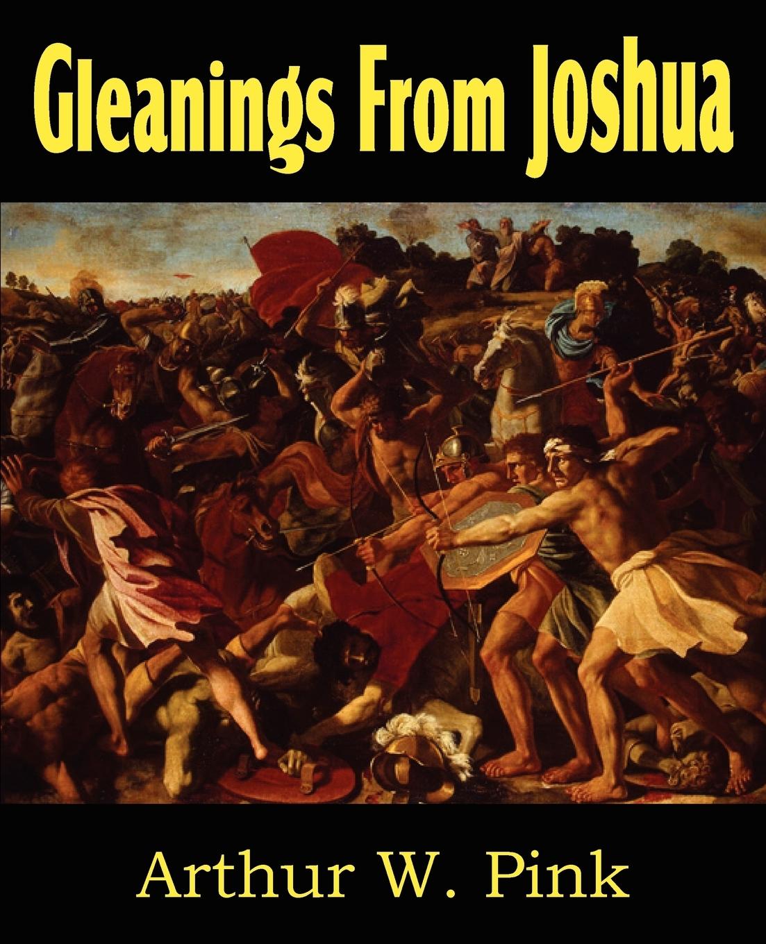Vorderes Coverbild Gleanings from Joshua