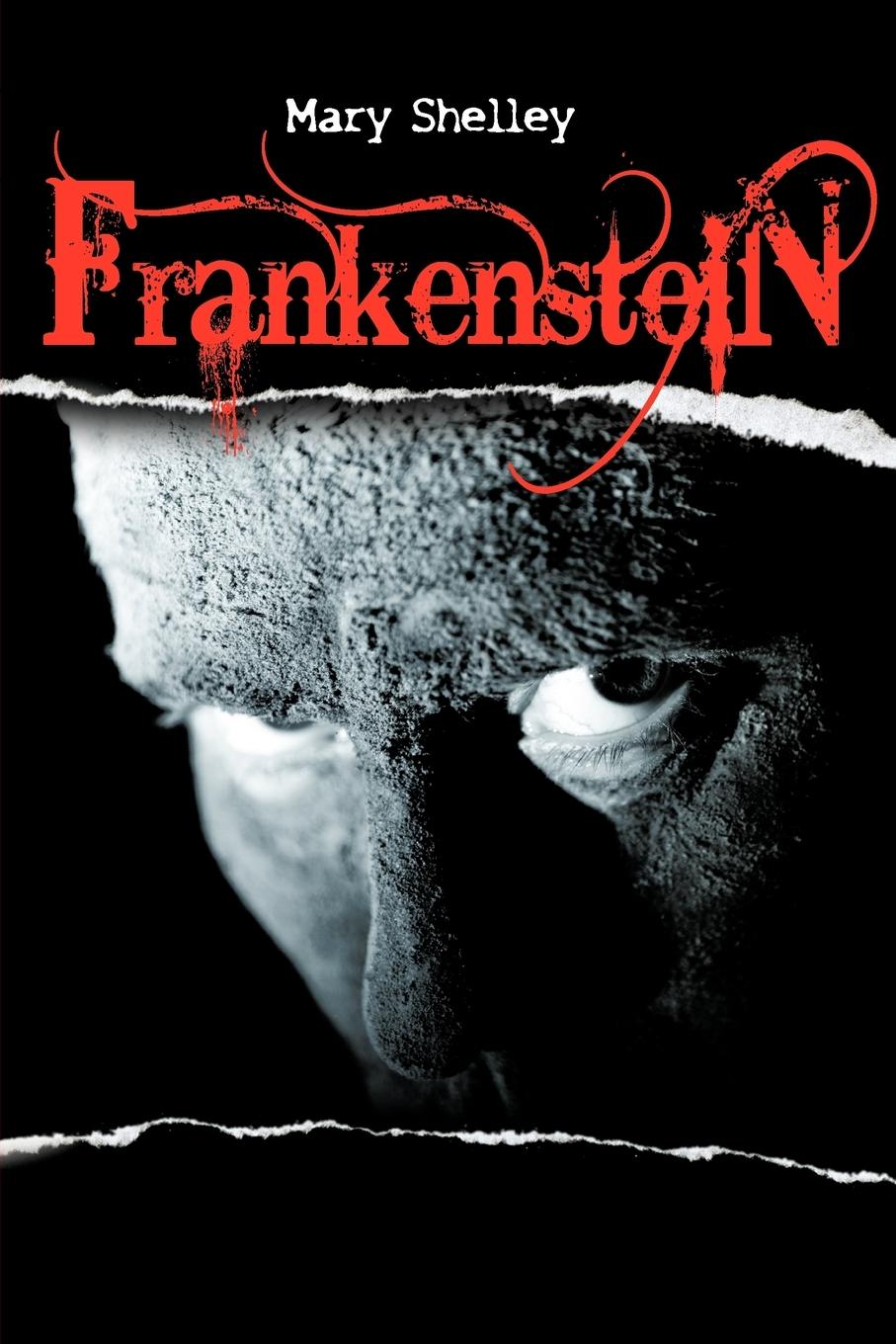 Vorderes Coverbild Frankenstein or the Modern Prometheus