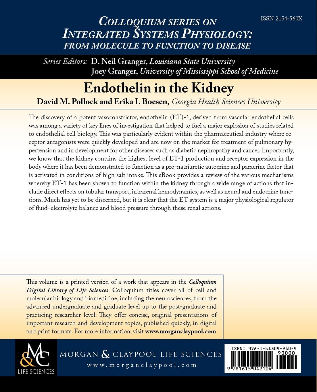 Rückseitencover Endothelin in the Kidney