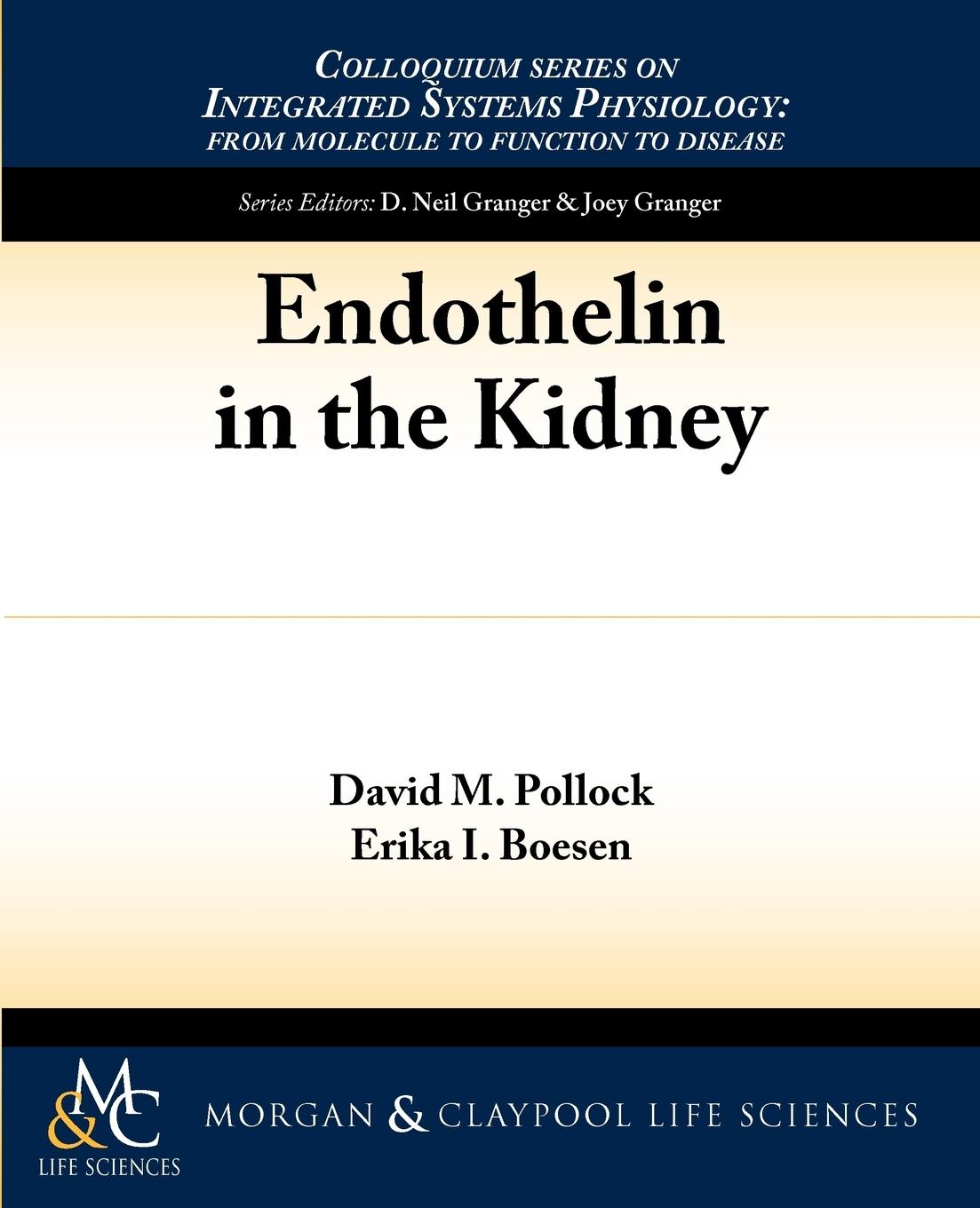Vorderes Coverbild Endothelin in the Kidney