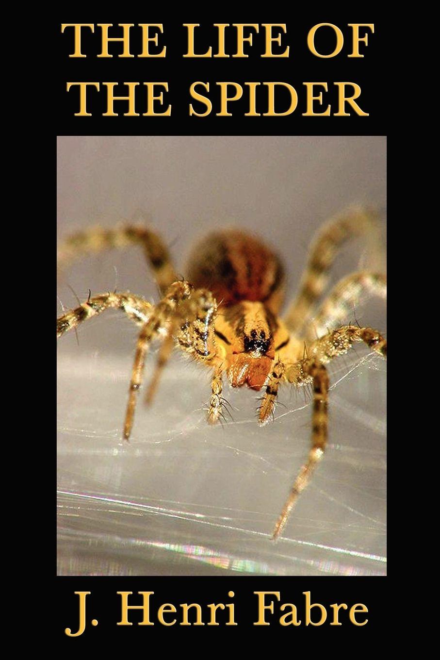 Vorderes Coverbild The Life of the Spider