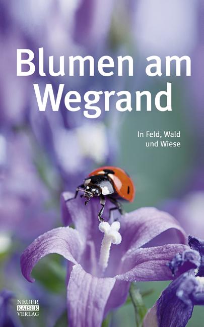Vorderes Coverbild Blumen am Wegrand