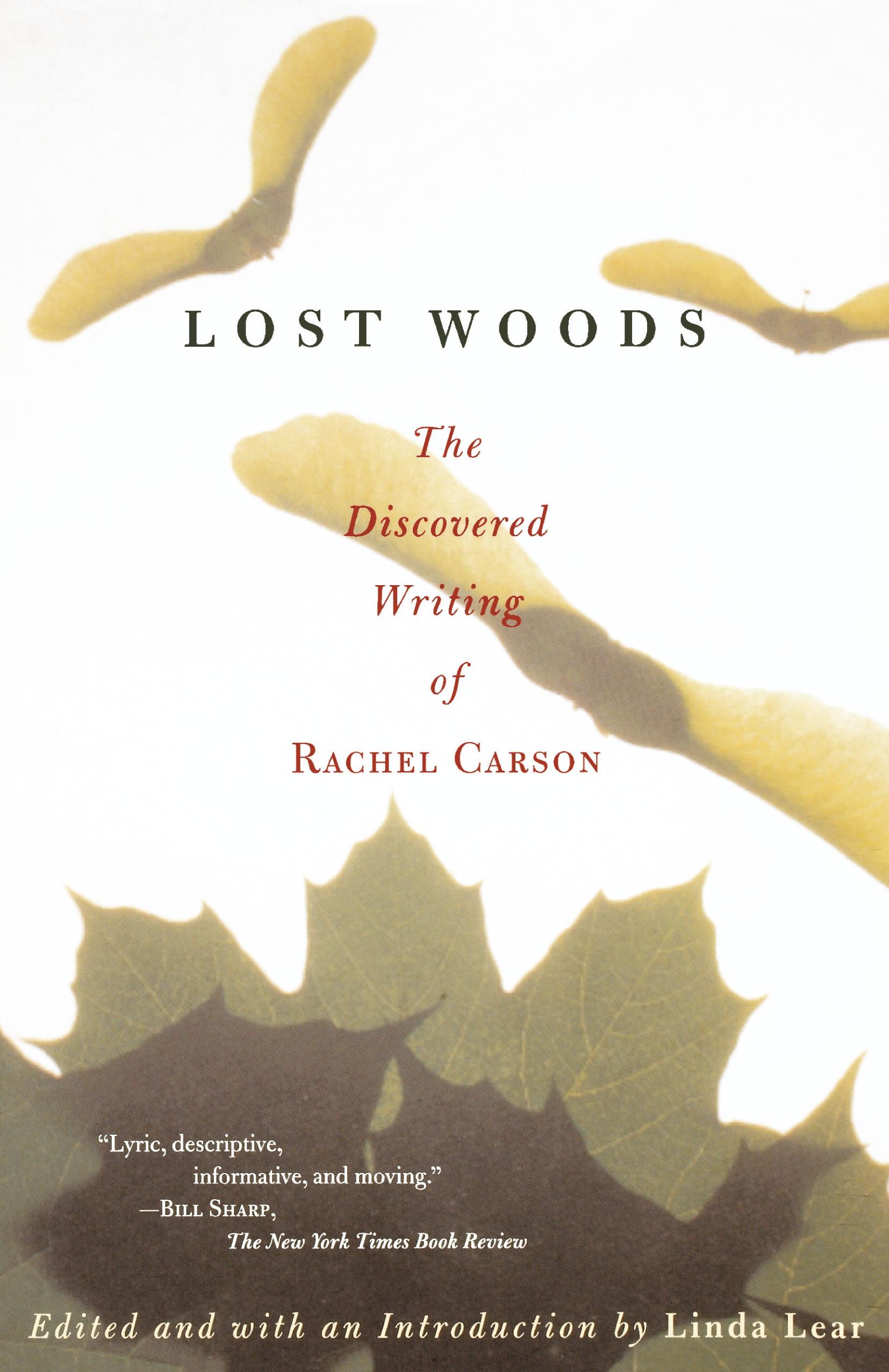Vorderes Coverbild Lost Woods