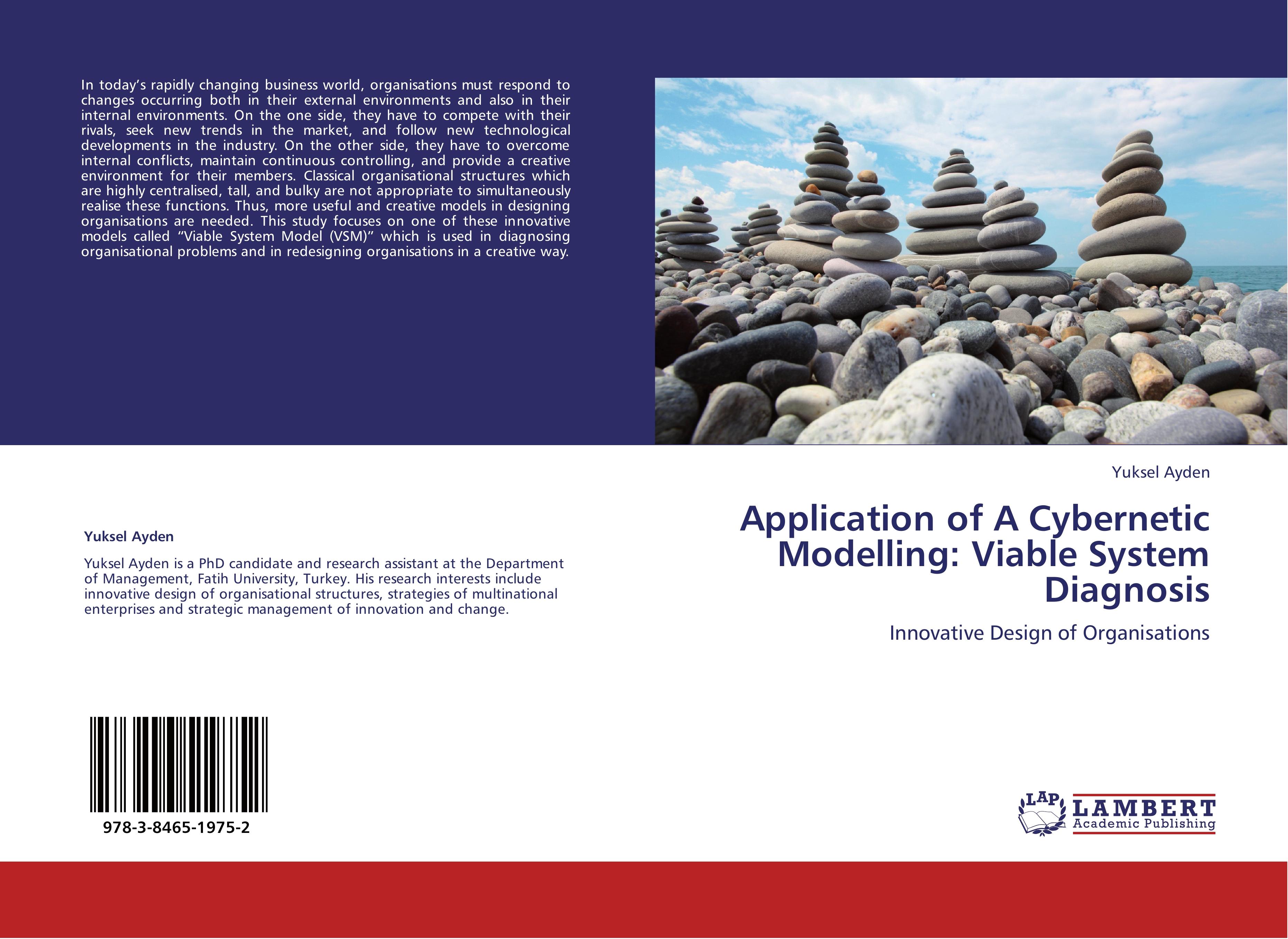 Vorderes Coverbild Application of A Cybernetic Modelling: Viable System Diagnosis