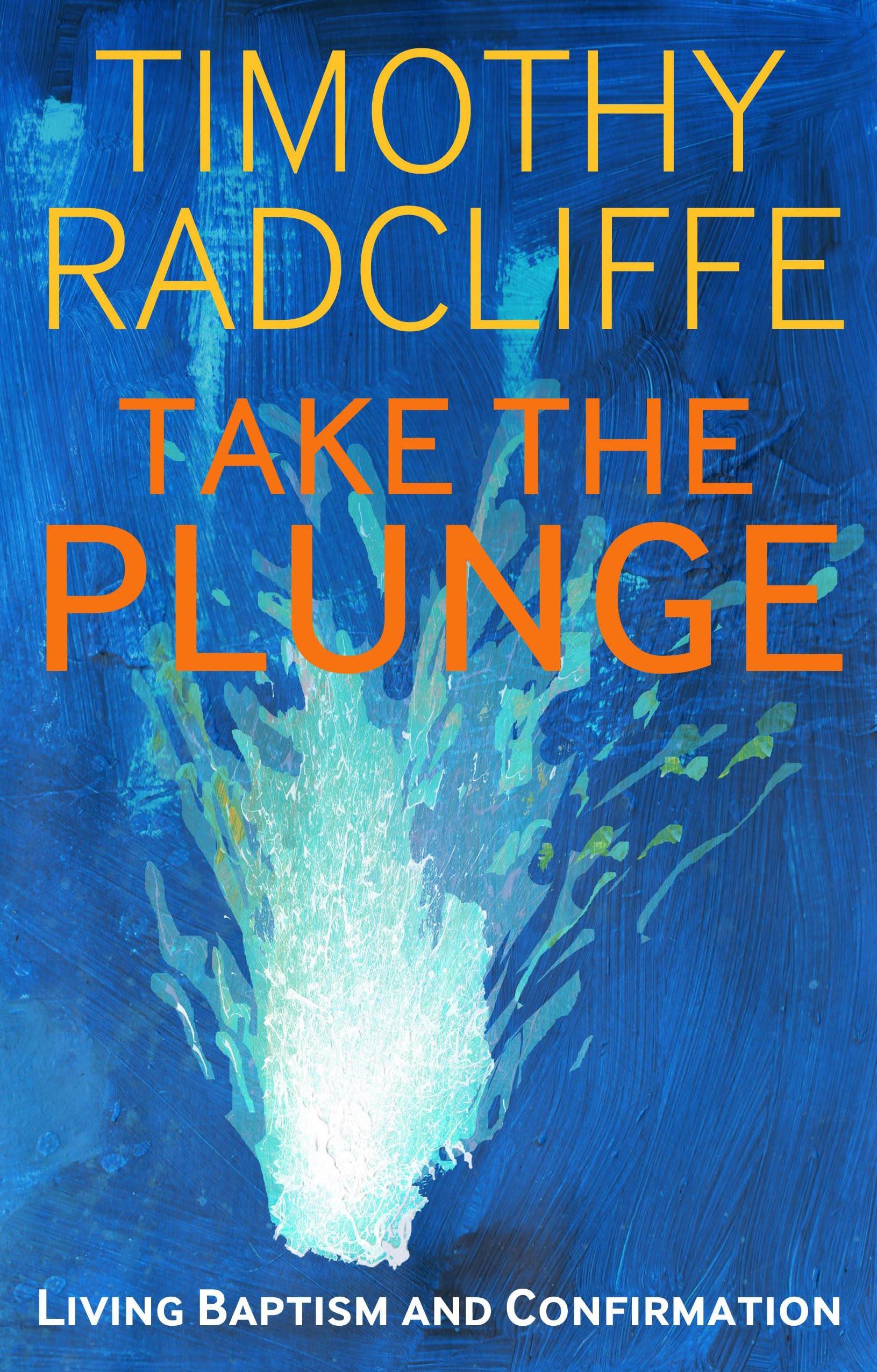 Vorderes Coverbild Take the Plunge