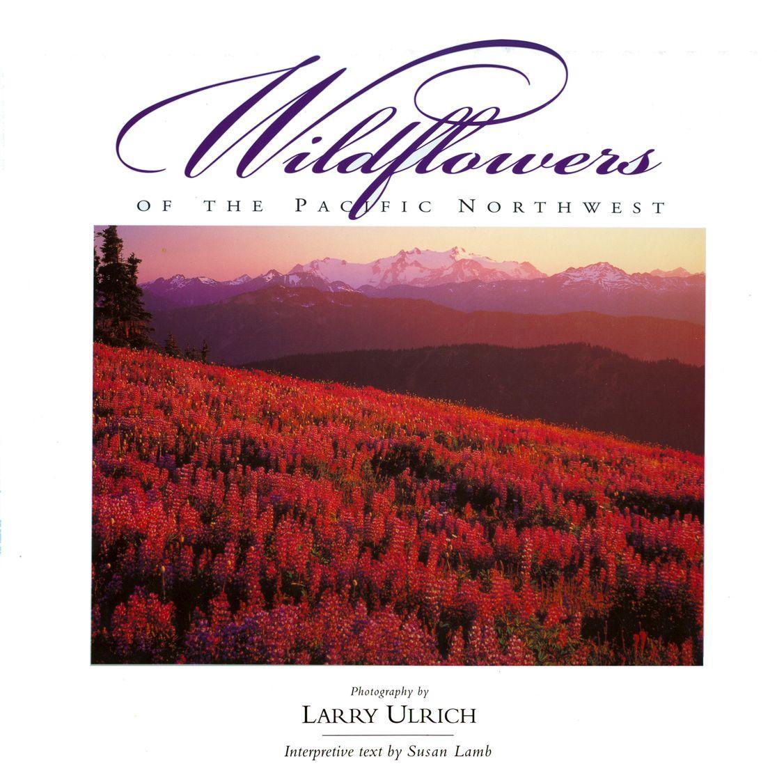 Vorderes Coverbild Wildflowers of the Pacific Northwest