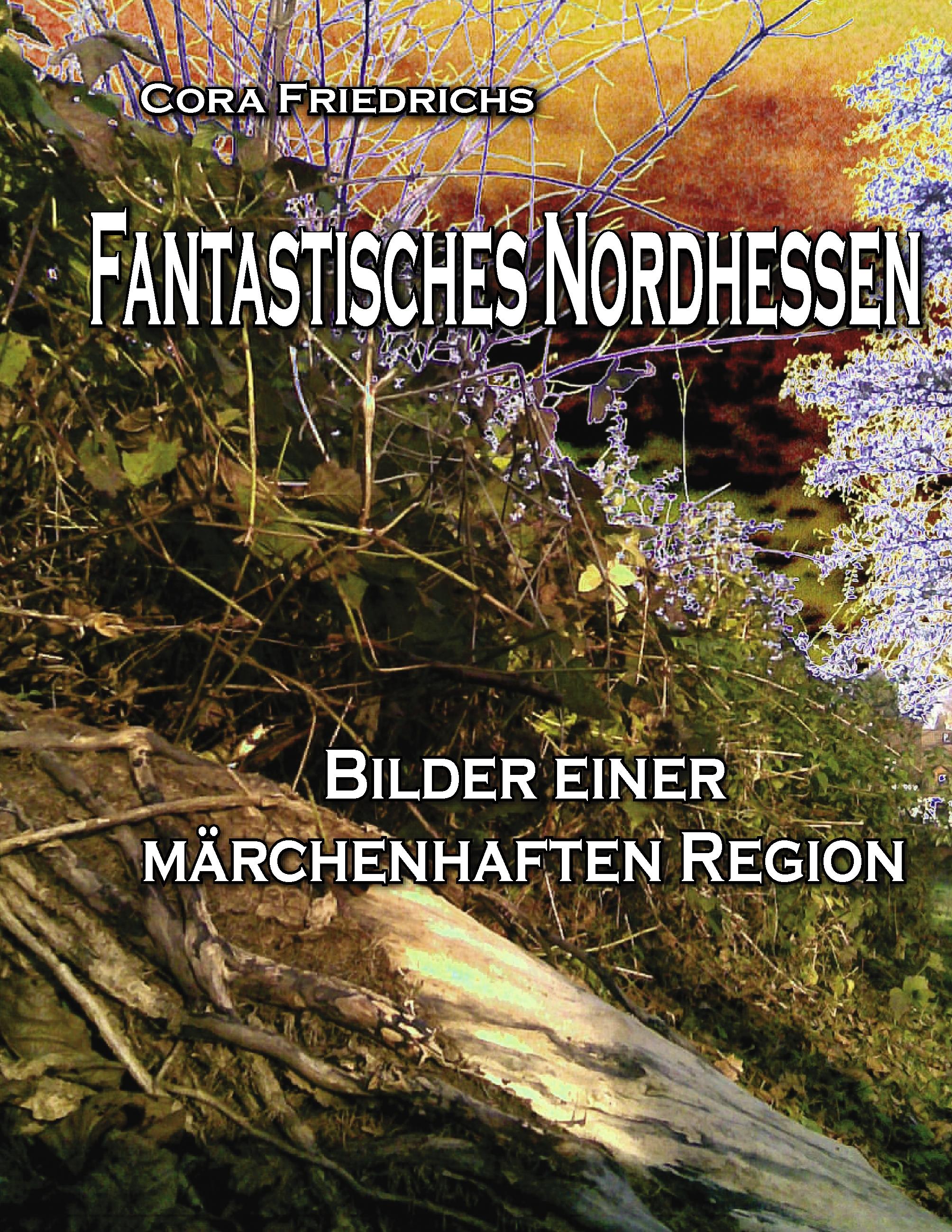 Vorderes Coverbild Fantastisches Nordhessen