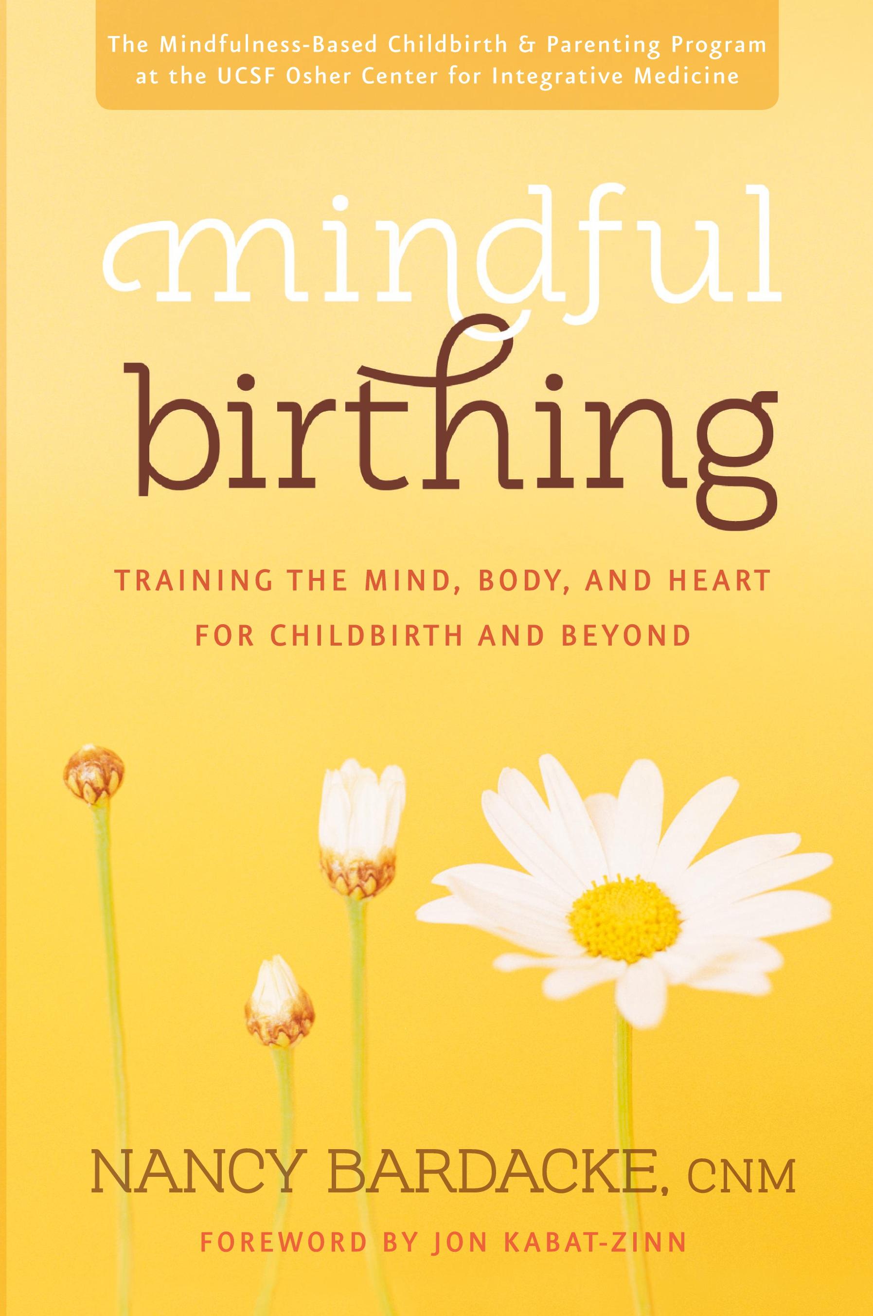 Vorderes Coverbild Mindful Birthing