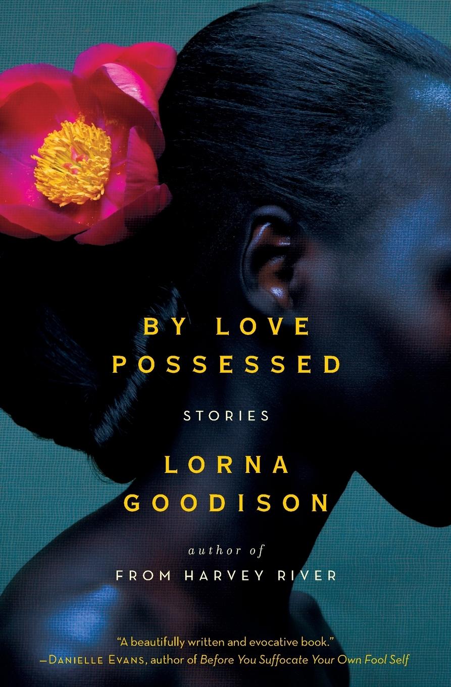 Vorderes Coverbild By Love Possessed