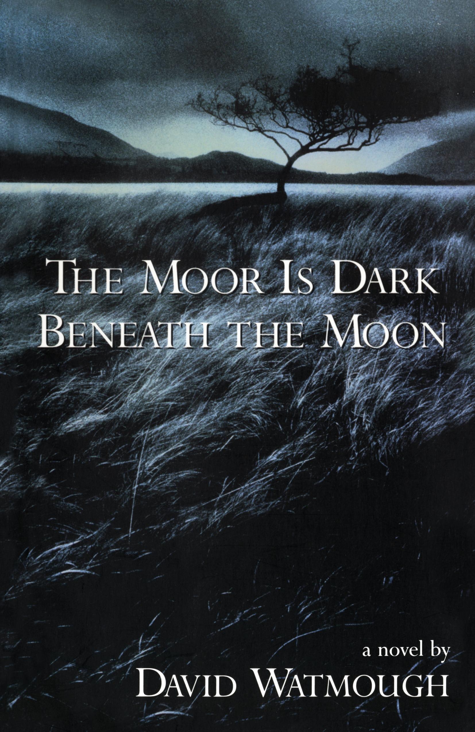 Vorderes Coverbild The Moor Is Dark Beneath the Moon