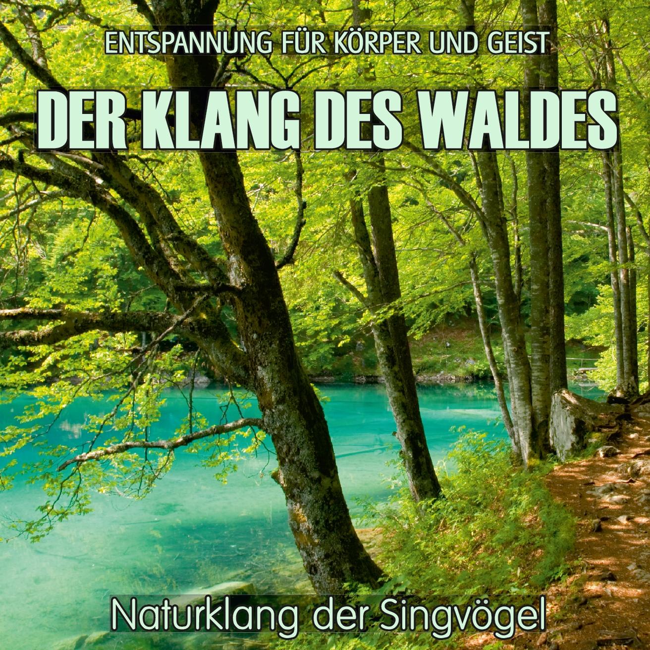 Vorderes Coverbild Der Klang des Waldes - Naturklang der Singvögel (ohne Musik)