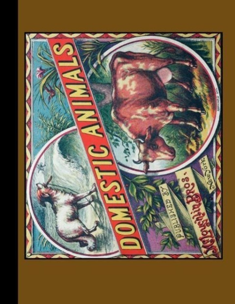 Vorderes Coverbild Domestic Animals