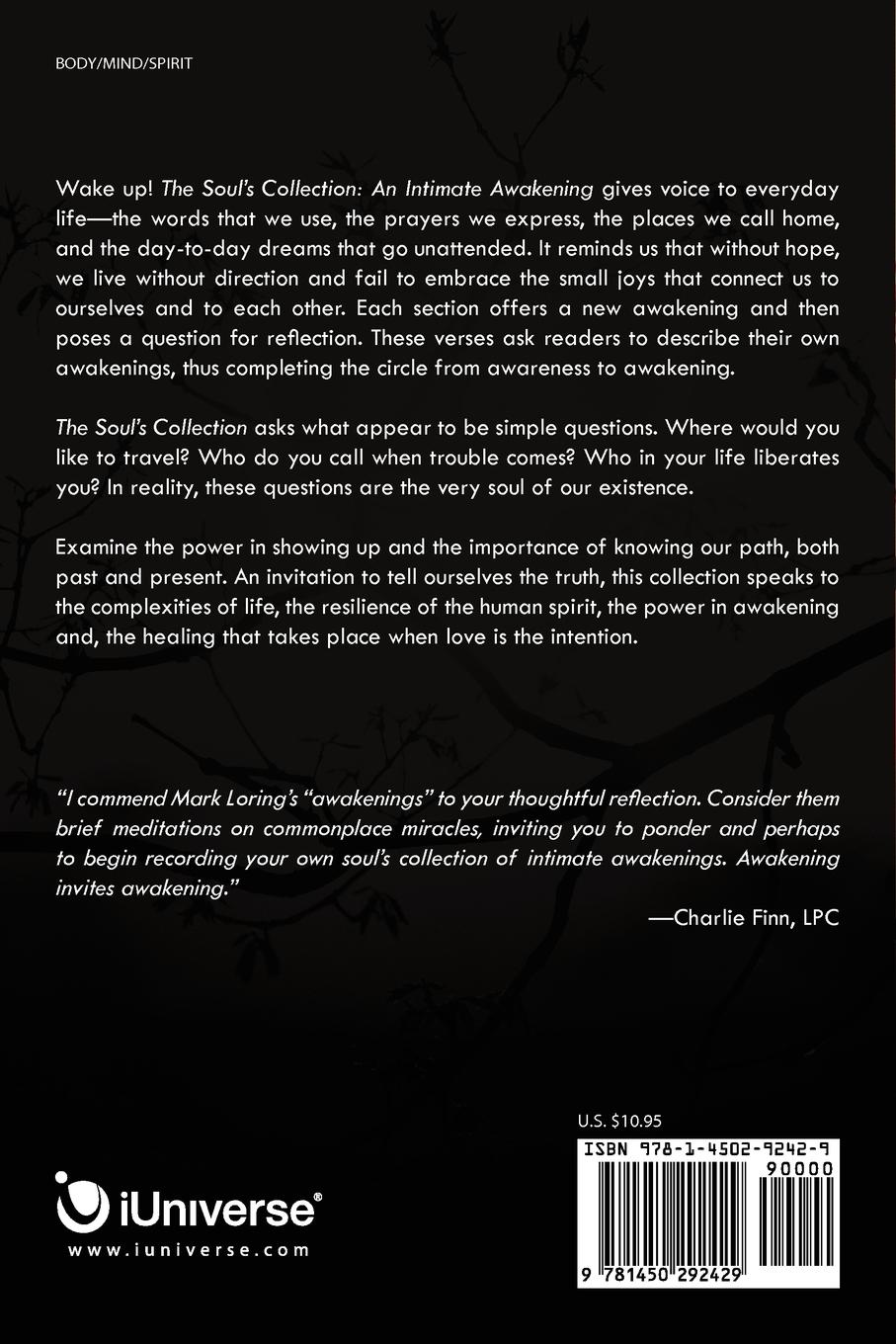 Rückseitencover The Soul's Collection