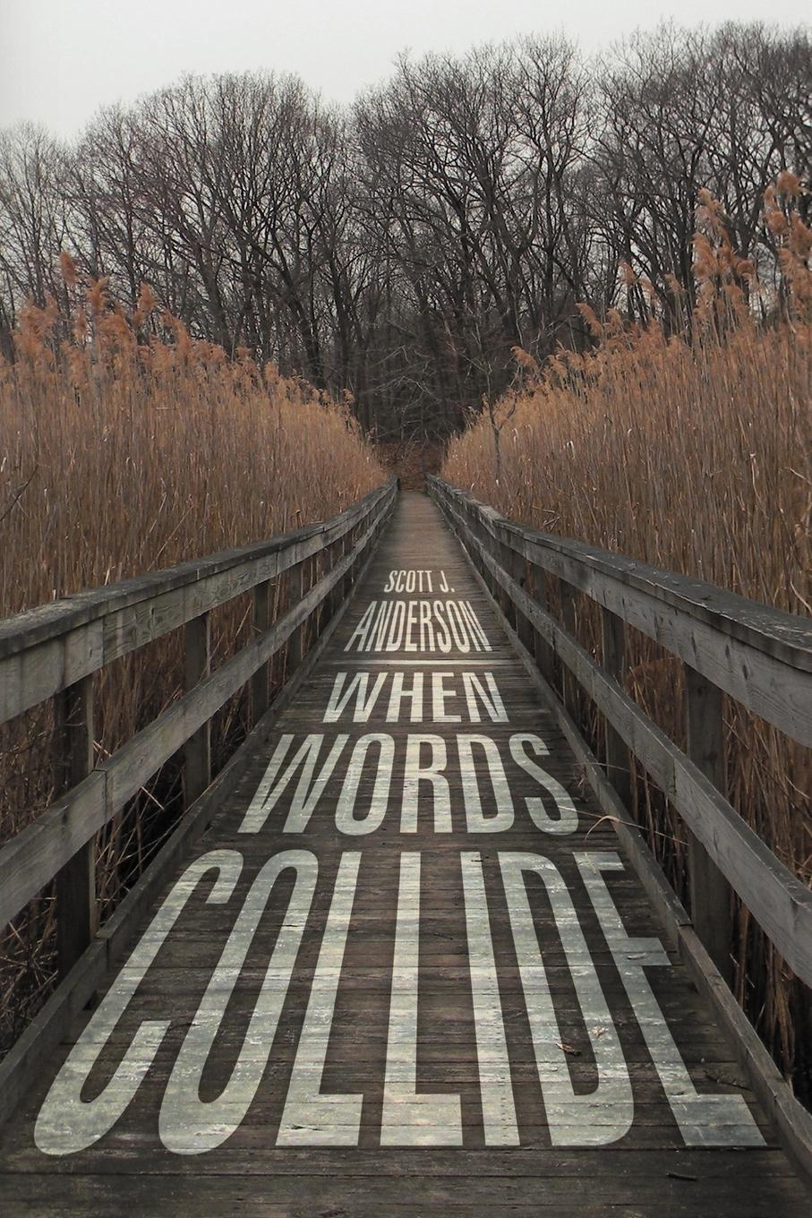 Vorderes Coverbild When Words Collide