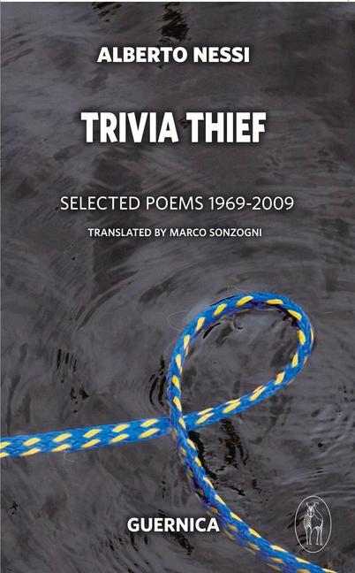 Vorderes Coverbild Trivia Thief