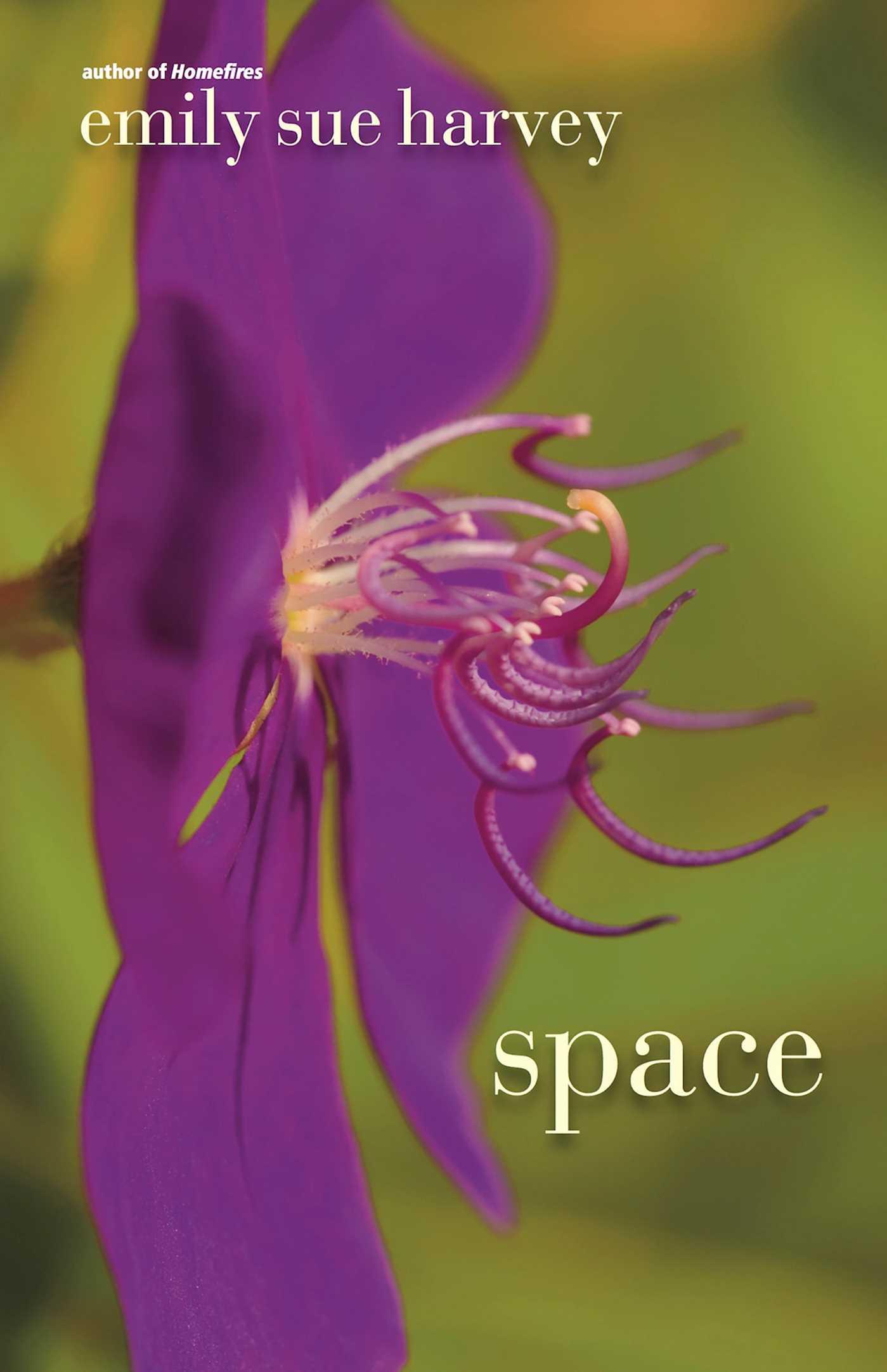 Vorderes Coverbild Space