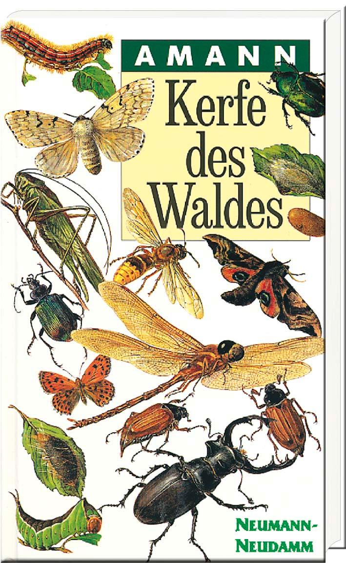 Vorderes Coverbild Kerfe des Waldes