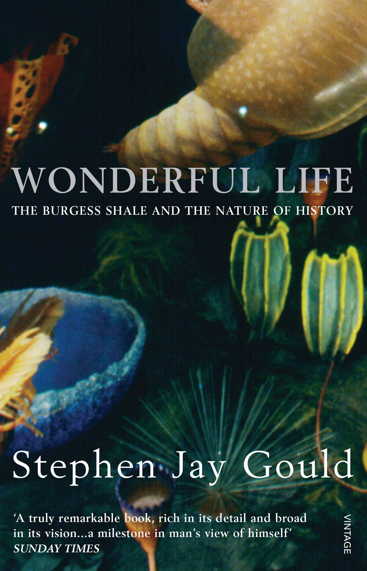 Vorderes Coverbild Wonderful Life