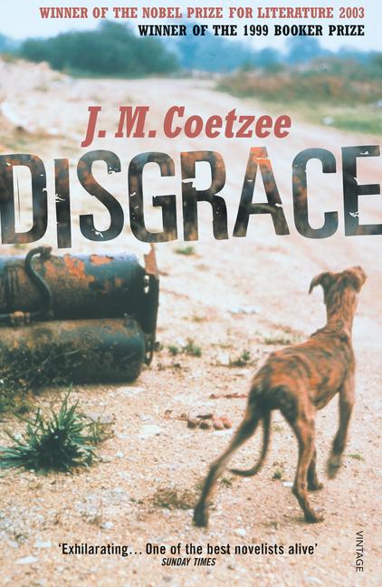 Vorderes Coverbild Disgrace