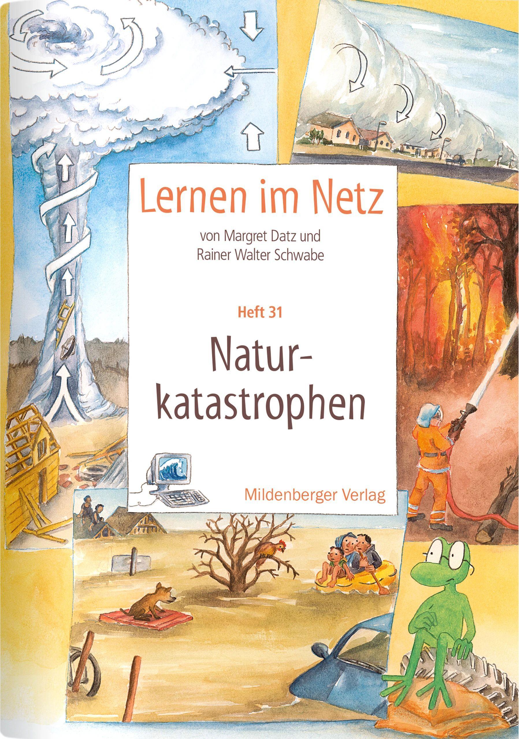 Vorderes Coverbild Lernen im Netz 31. Naturkatastrophen