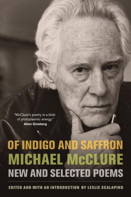 Vorderes Coverbild Of Indigo and Saffron