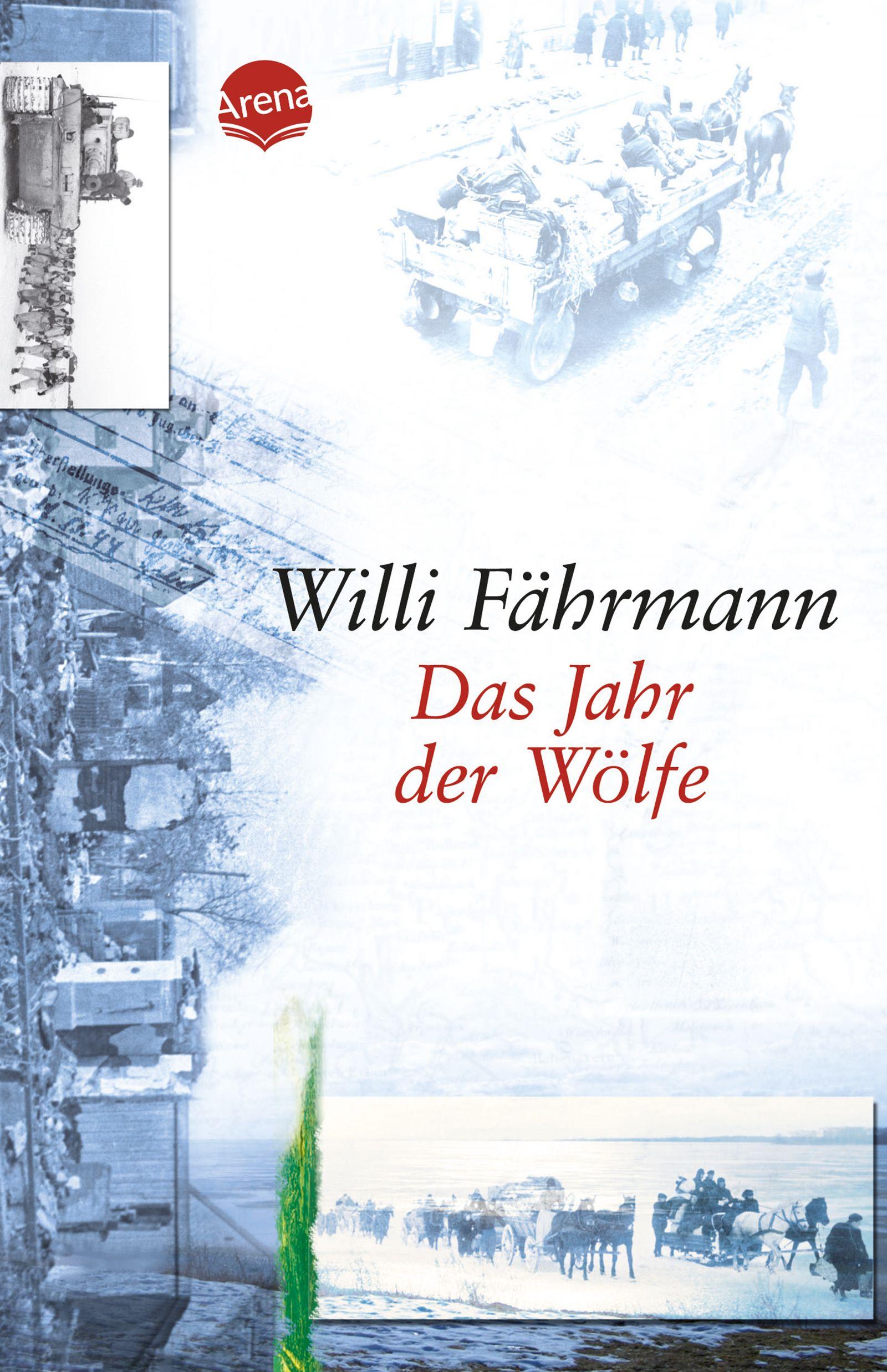 Vorderes Coverbild Das Jahr der Wölfe