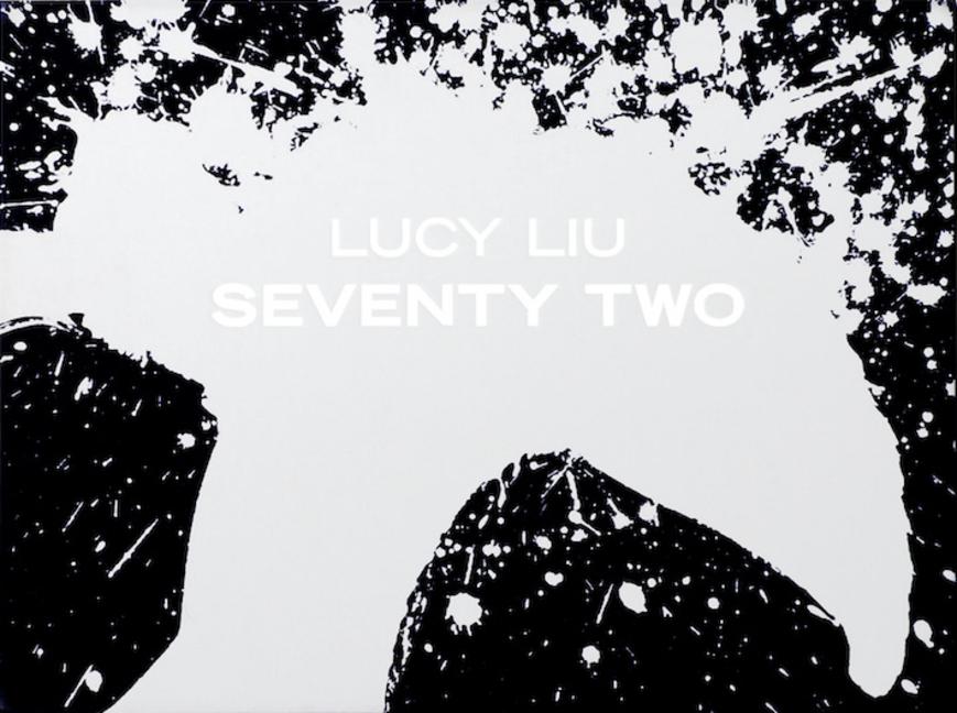 Vorderes Coverbild Lucy Liu: Seventy Two (Limited Edition)