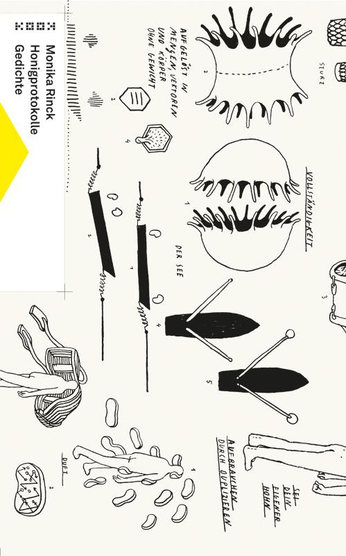 Vorderes Coverbild Honigprotokolle