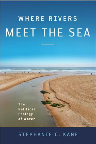 Vorderes Coverbild Where Rivers Meet the Sea: The Political Ecology of Water