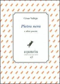Vorderes Coverbild Pietra nera e altre poesie