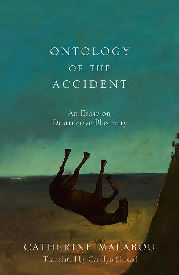 Vorderes Coverbild The Ontology of the Accident