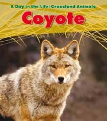 Vorderes Coverbild Coyote. Louise Spilsbury