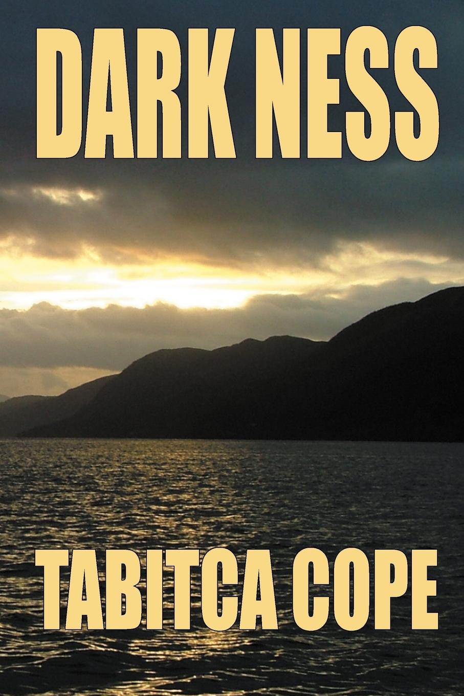 Vorderes Coverbild Dark Ness
