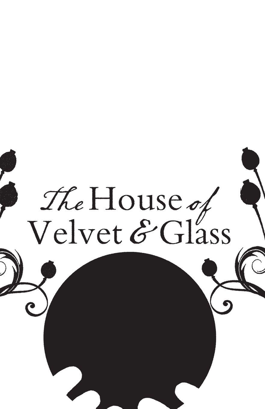 Vorderes Coverbild The House of Velvet and Glass