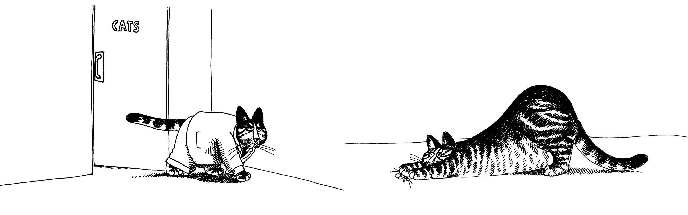 Beispielinhalt (Bild) Cat
