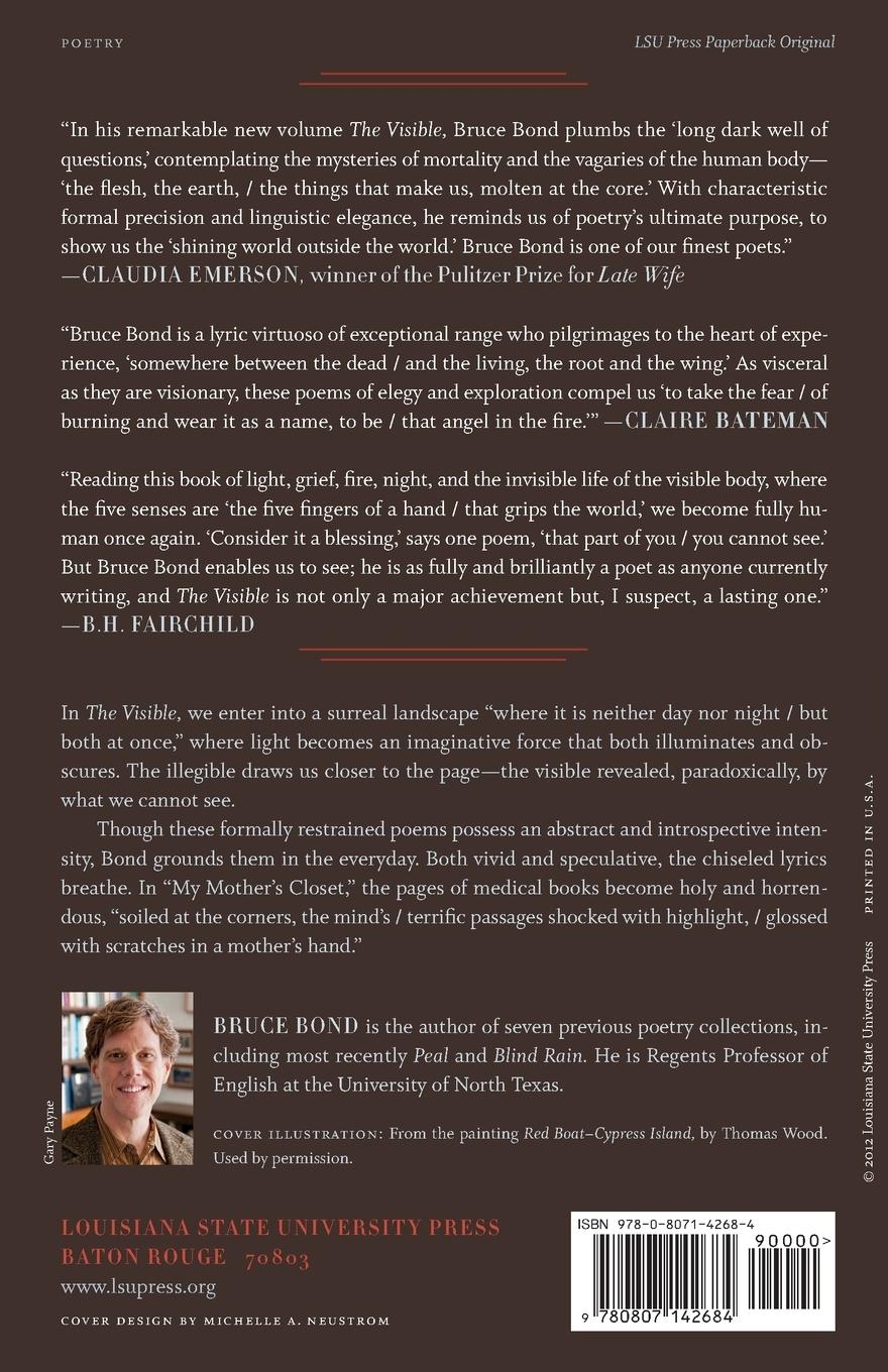 Rückseitencover The Visible