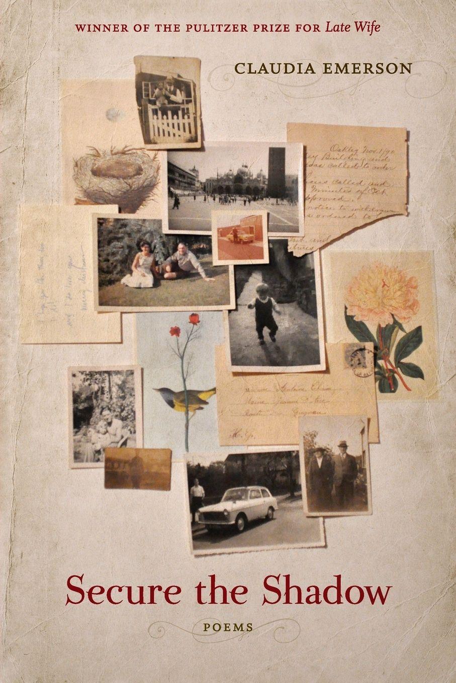 Vorderes Coverbild Secure the Shadow