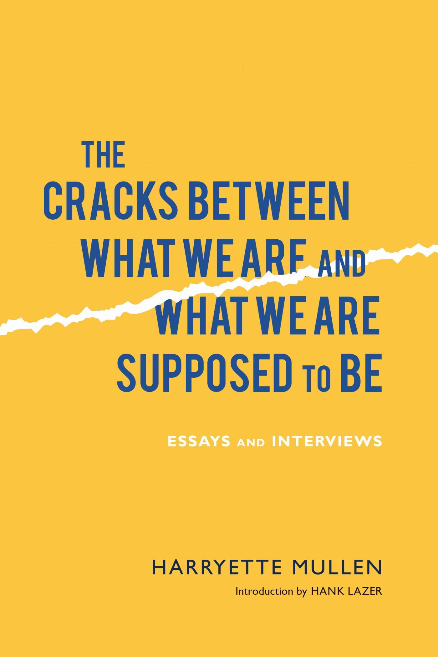 Vorderes Coverbild The Cracks Between What We Are and What We Are Supposed to Be