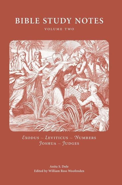 Vorderes Coverbild Bible Study Notes Vol. 2