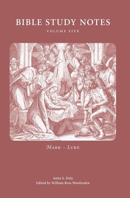 Vorderes Coverbild Bible Study Notes vol. 5