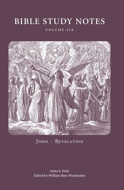 Vorderes Coverbild Bible Study Notes vol. 6