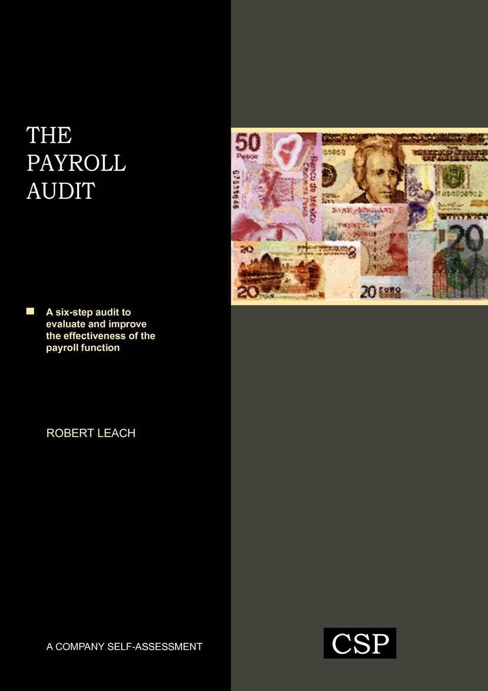 Vorderes Coverbild The Payroll Audit