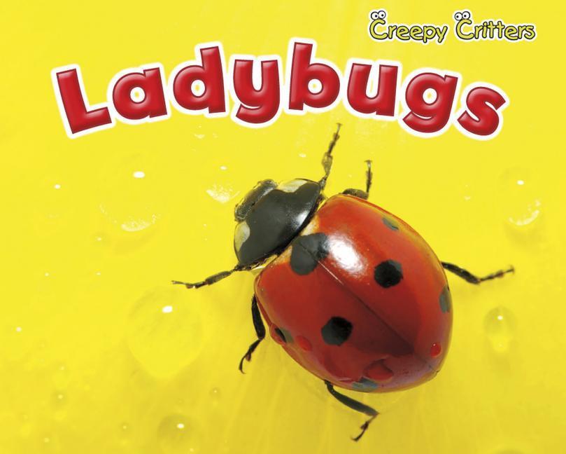 Vorderes Coverbild Ladybugs