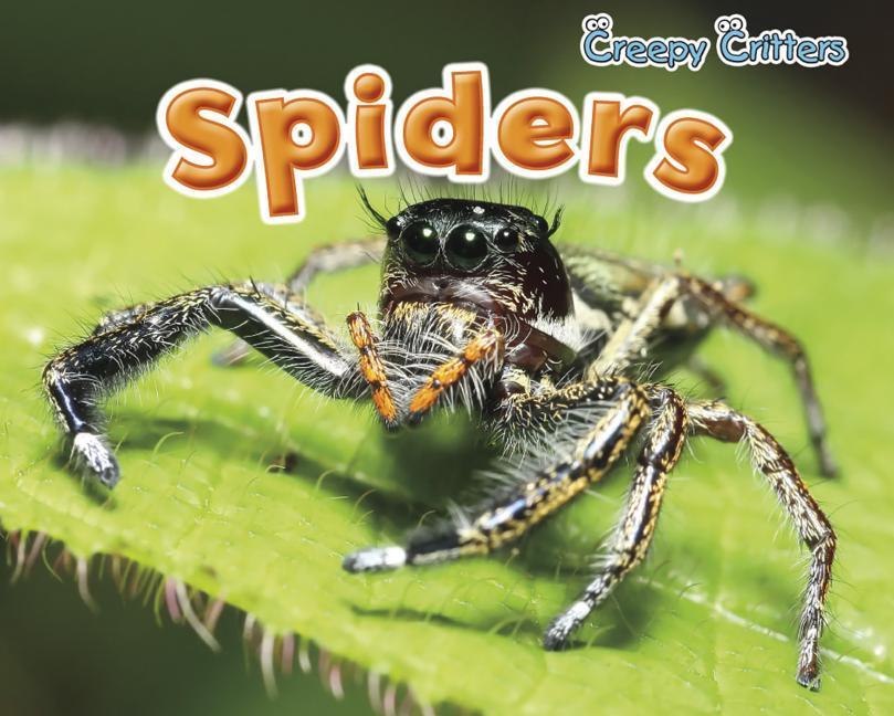 Vorderes Coverbild Spiders