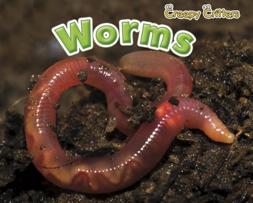 Vorderes Coverbild Worms