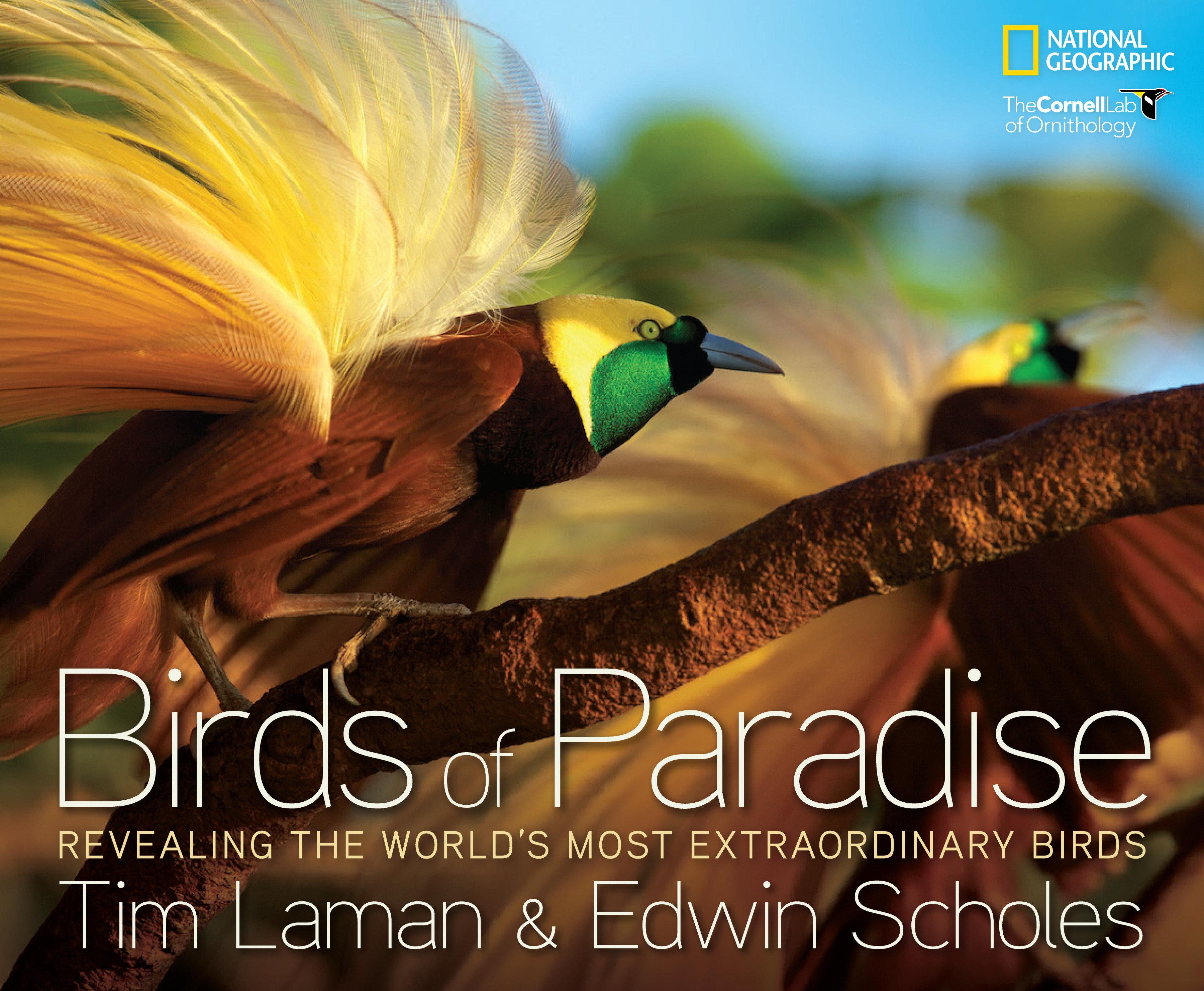 Vorderes Coverbild Birds of Paradise